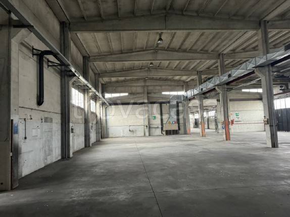 immagine annuncio 5 di 9