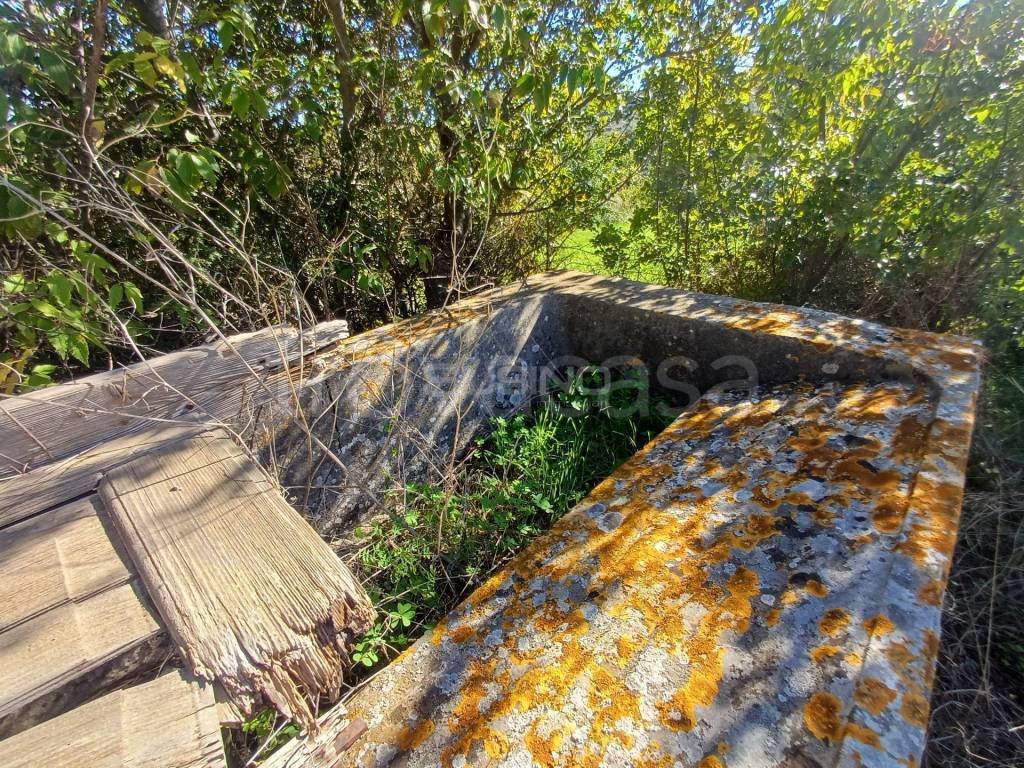 immagine annuncio 6 di 12