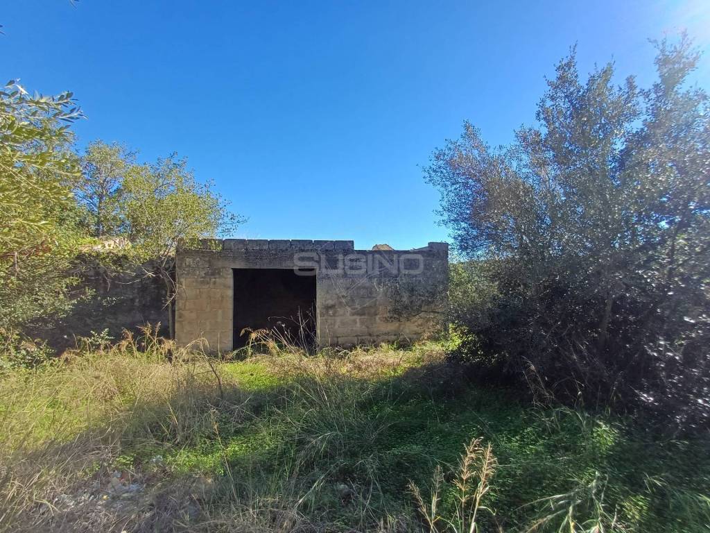 immagine annuncio 5 di 12