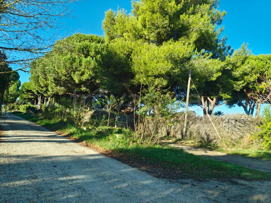 immagine annuncio 3 di 13