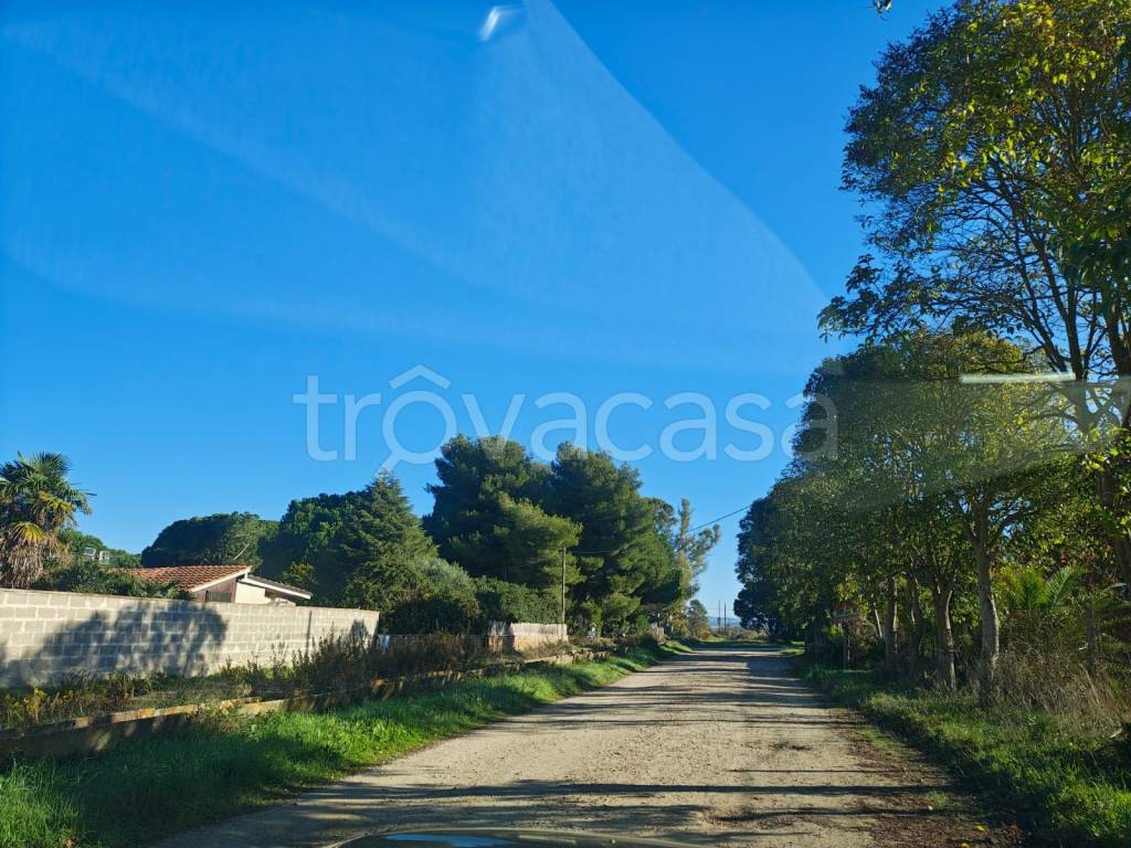 immagine annuncio 11 di 13