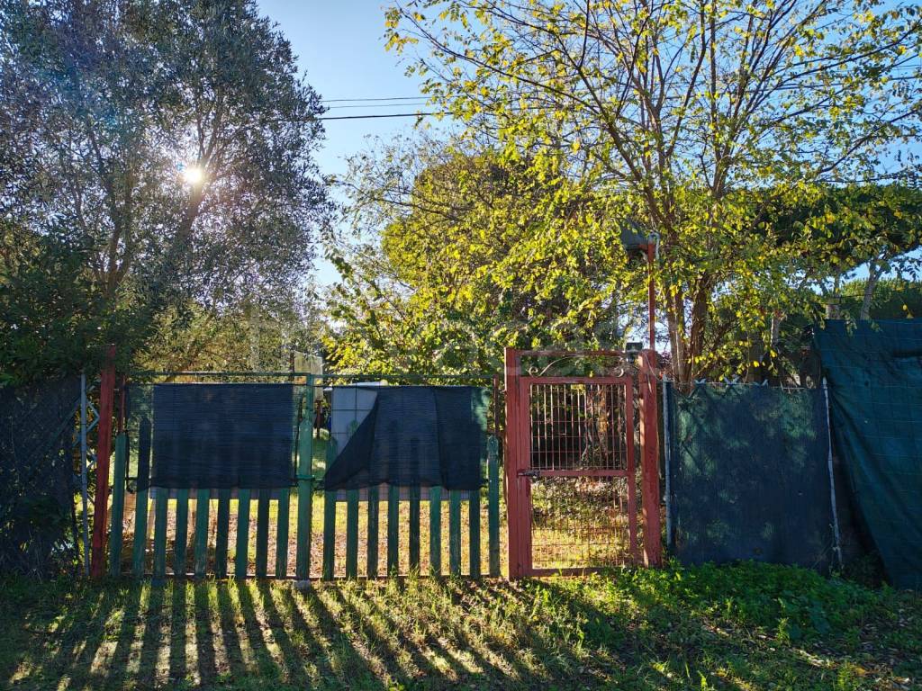 immagine annuncio 10 di 13