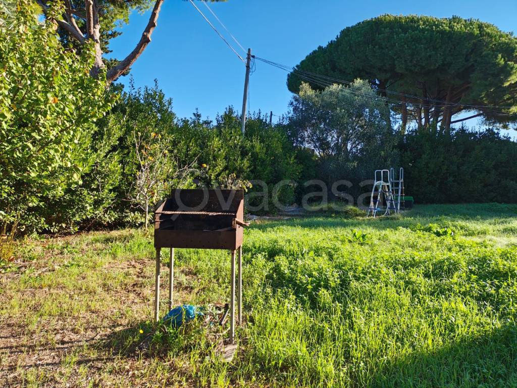 immagine annuncio 4 di 13