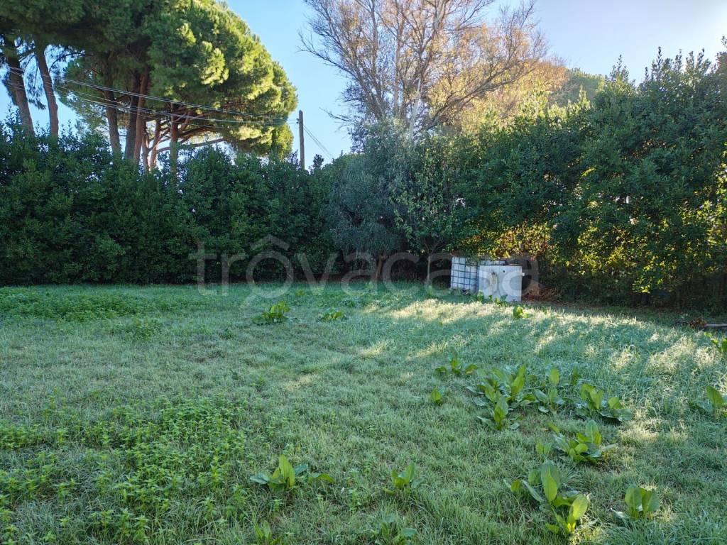 immagine annuncio 12 di 13