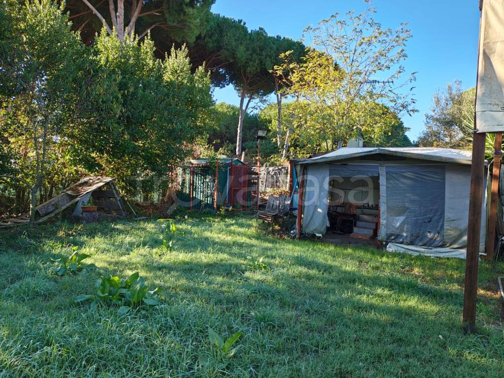 immagine annuncio 9 di 13