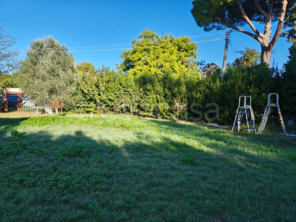 immagine annuncio 6 di 13