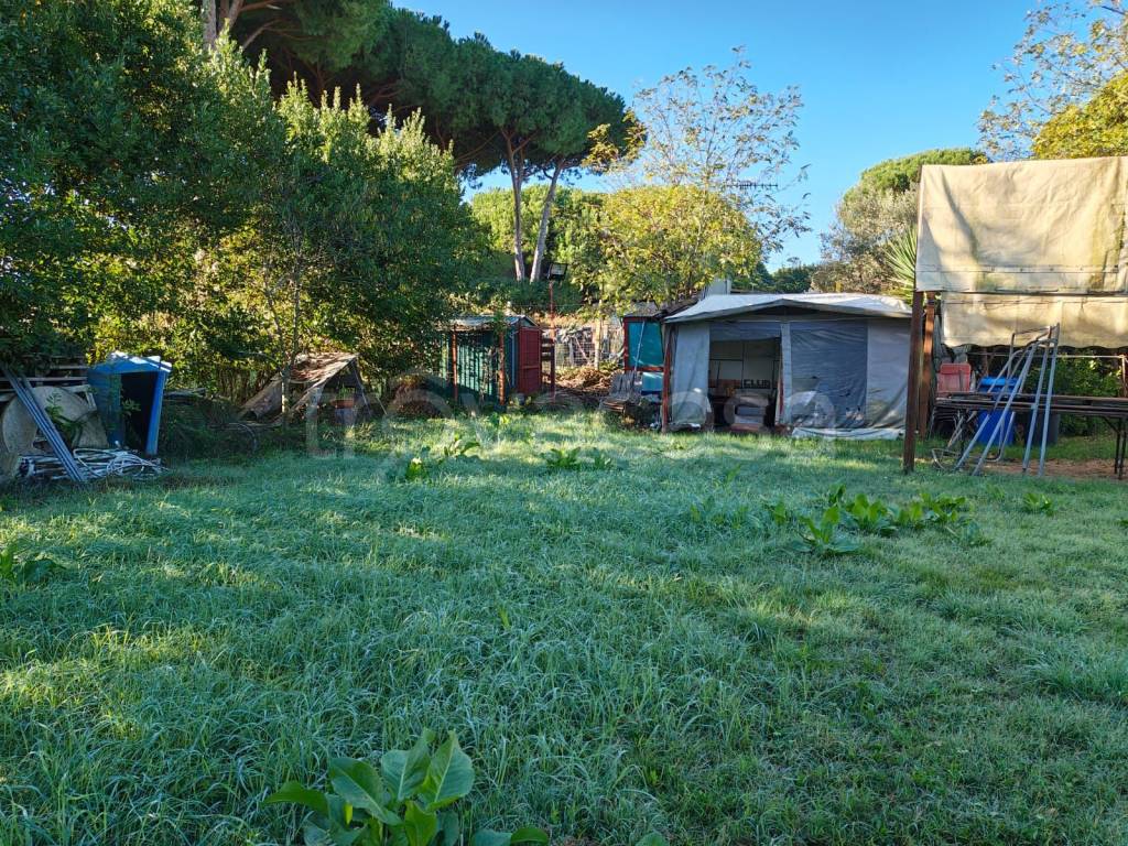 immagine annuncio 8 di 13