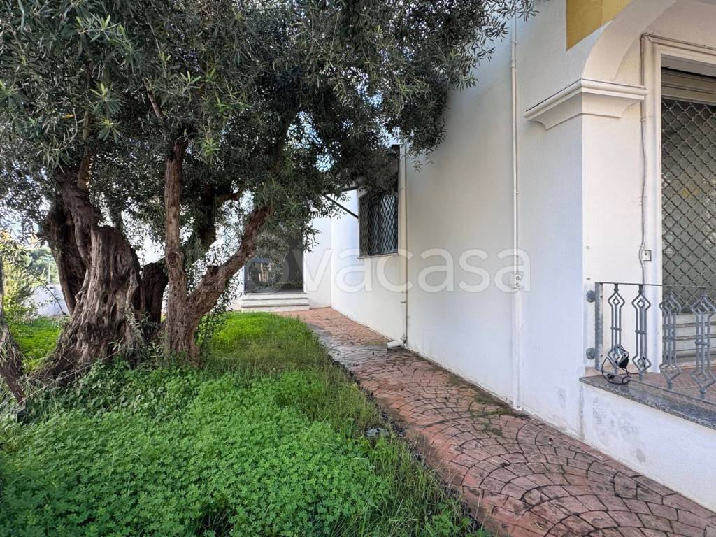 immagine annuncio 3 di 8