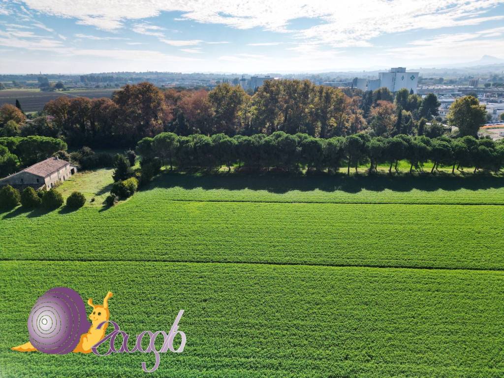 immagine annuncio 2 di 11