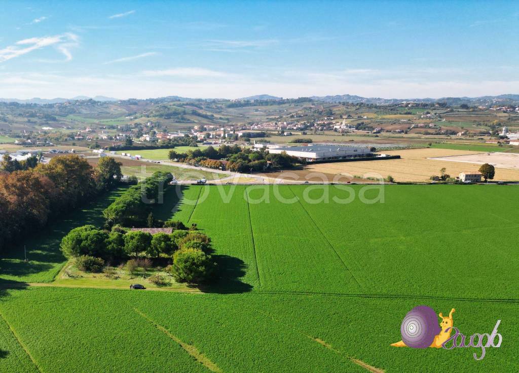 immagine annuncio 3 di 11