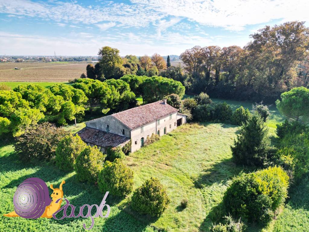 immagine annuncio 4 di 11