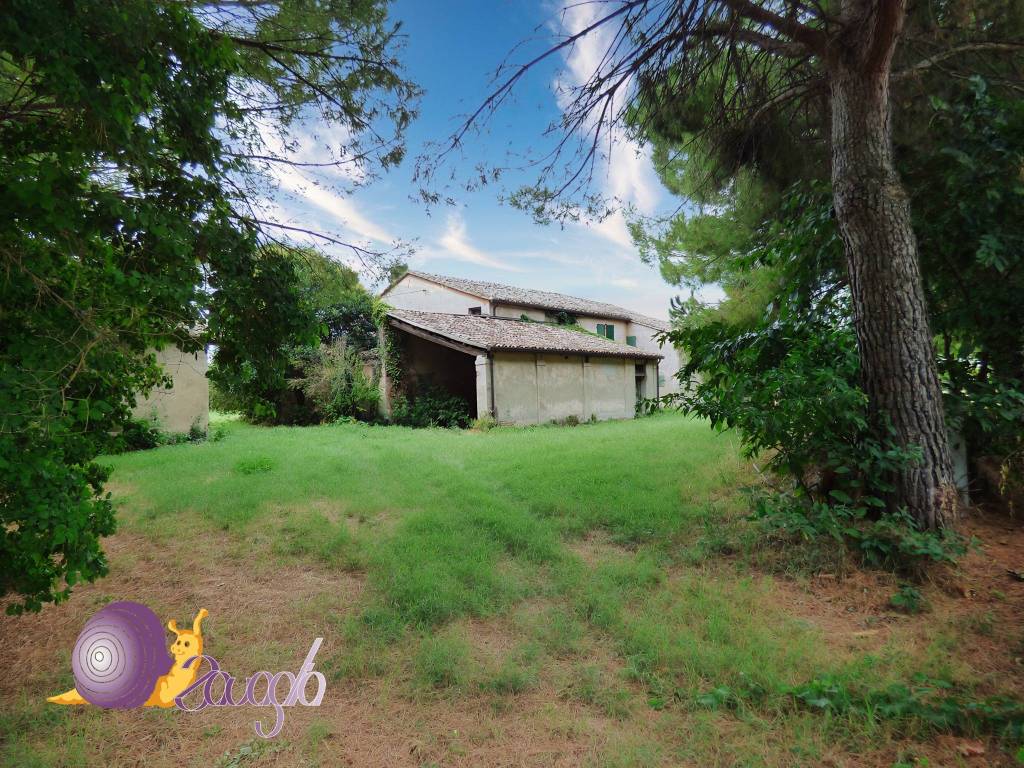 immagine annuncio 5 di 11