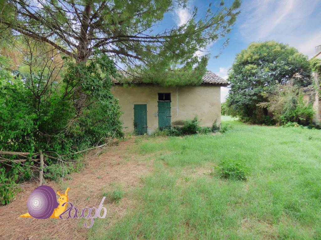 immagine annuncio 6 di 11