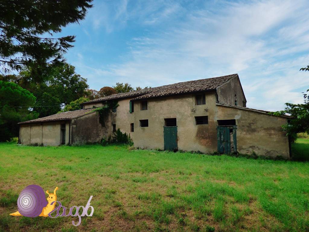 immagine annuncio 7 di 11