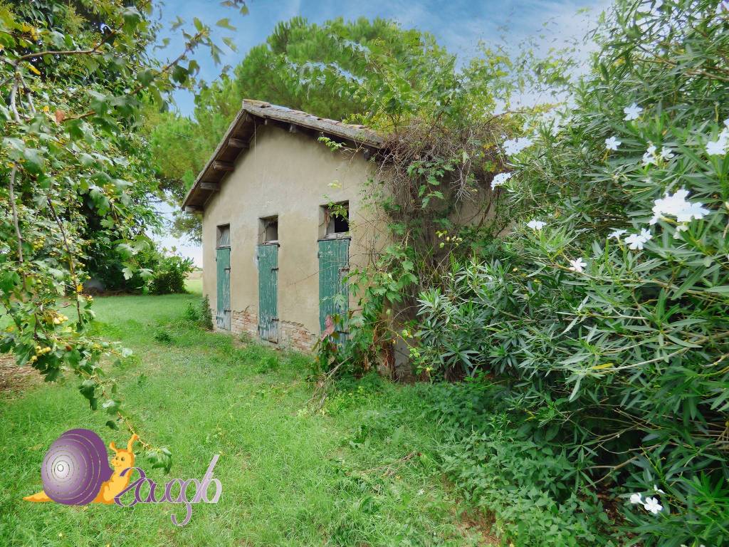 immagine annuncio 10 di 11