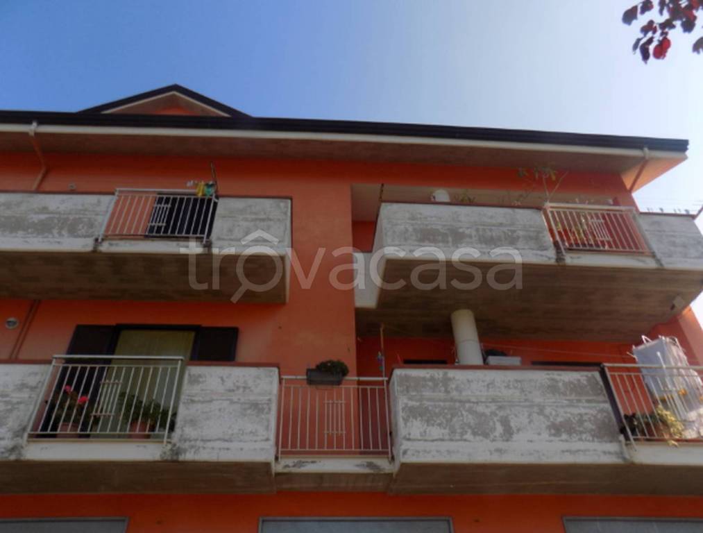 immagine annuncio 6 di 12