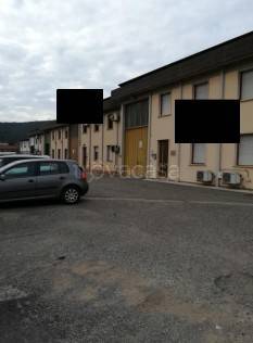 immagine annuncio 1 di 9