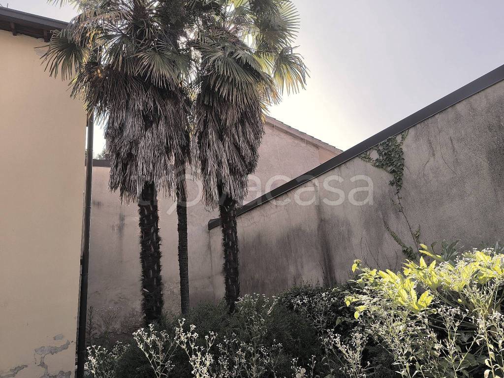 immagine annuncio 1 di 7