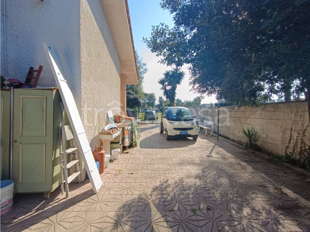 immagine annuncio 2 di 12