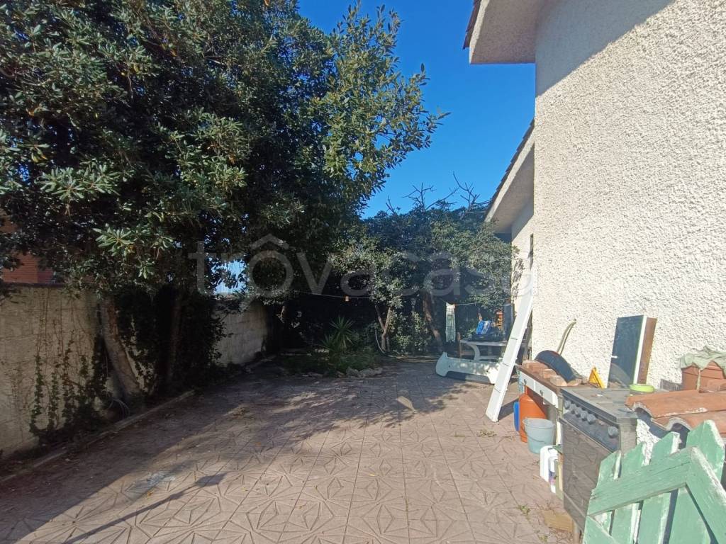 immagine annuncio 3 di 12