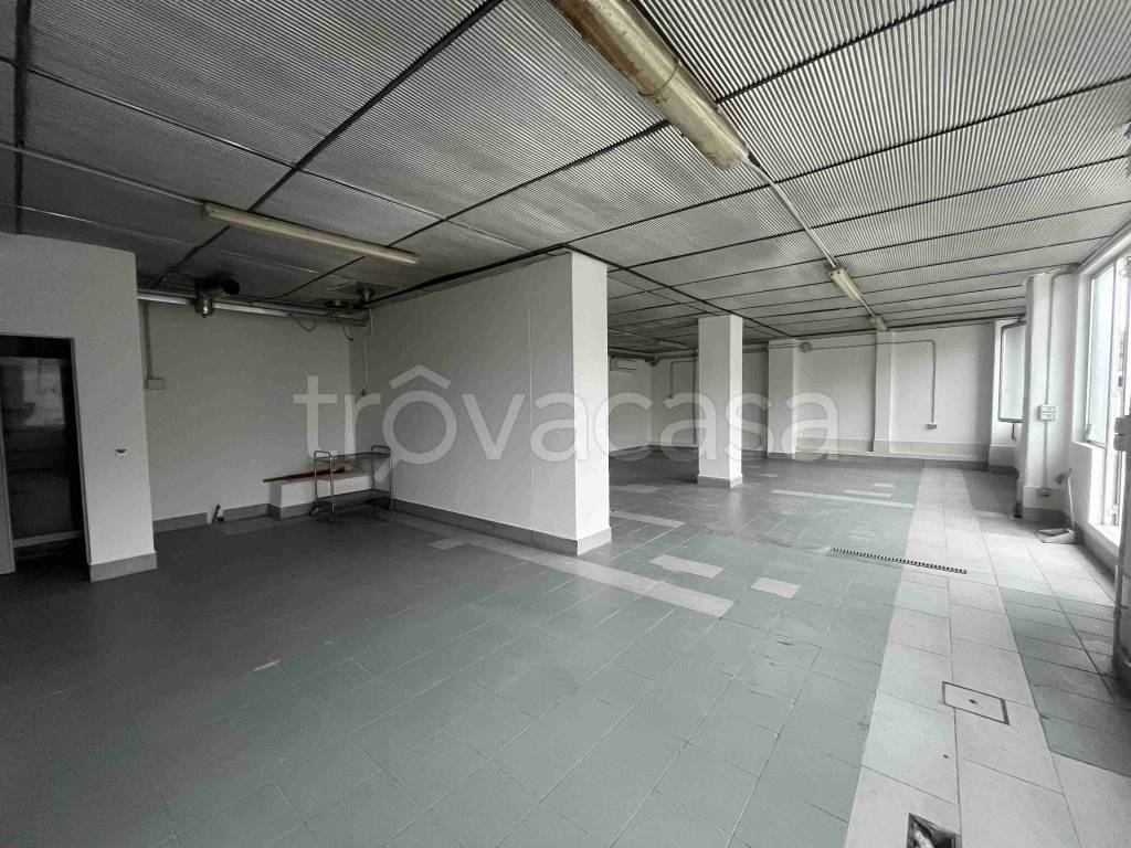 immagine annuncio 4 di 8