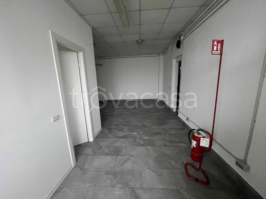 immagine annuncio 5 di 8