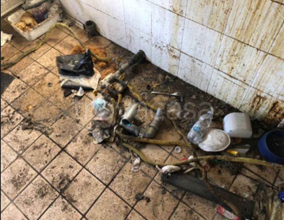 immagine annuncio 9 di 11