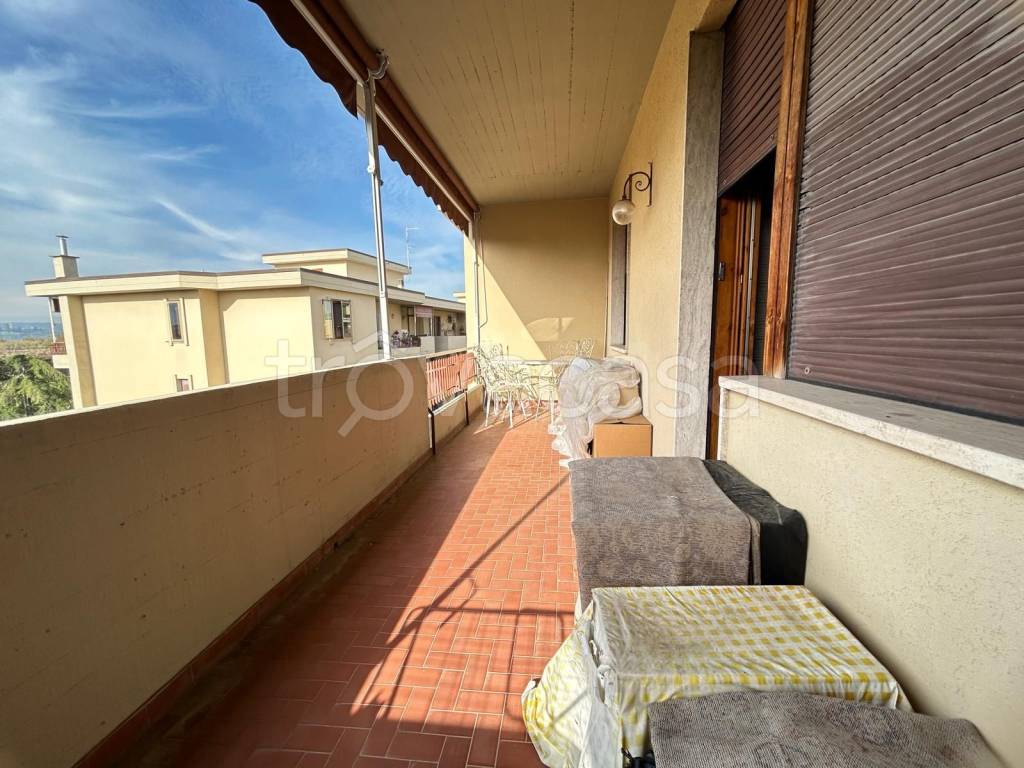 immagine annuncio 2 di 14