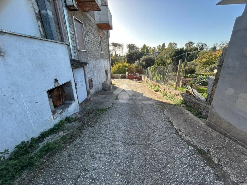 immagine annuncio 6 di 12