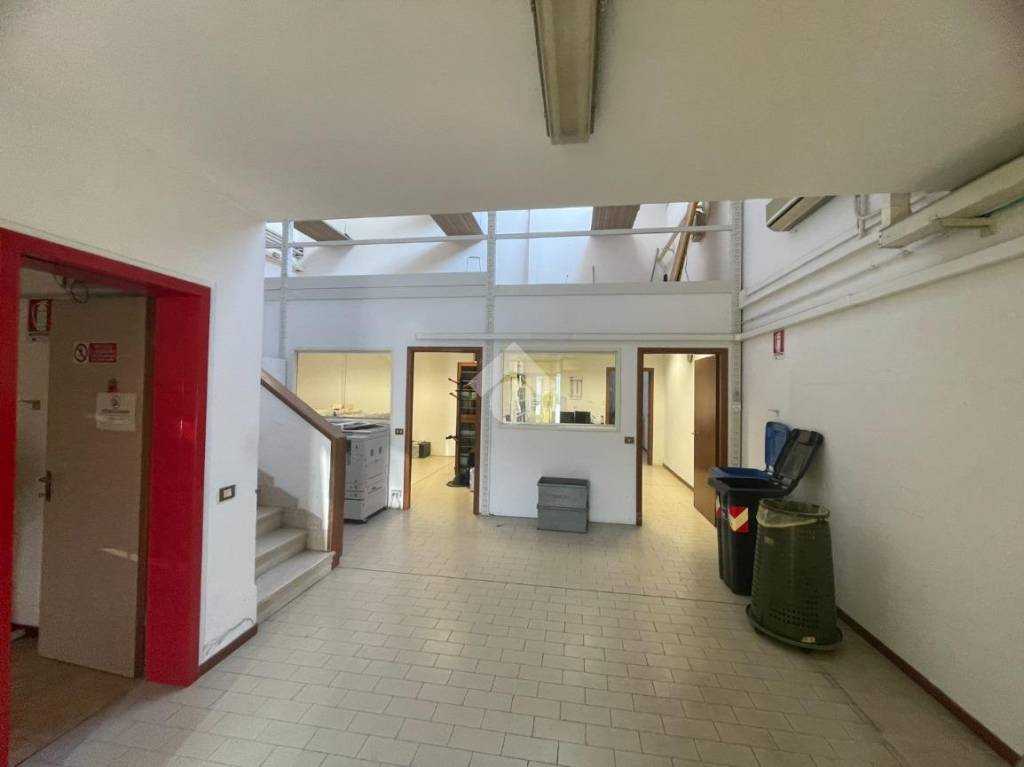 immagine annuncio 4 di 8