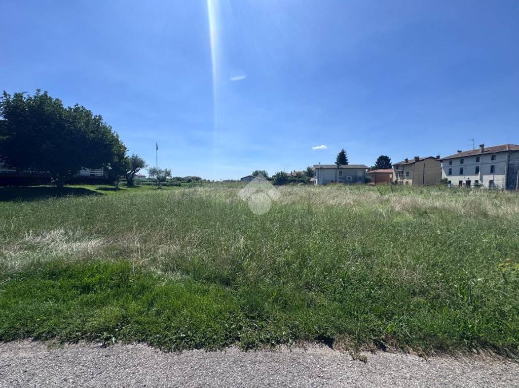 immagine annuncio 3 di 7