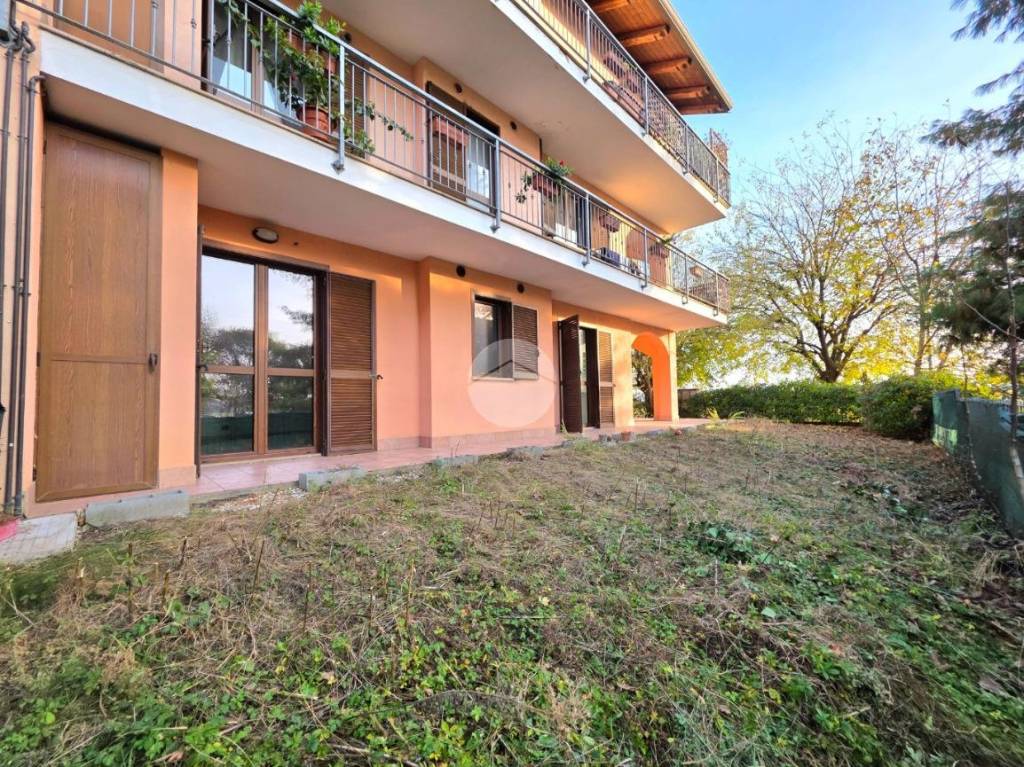 immagine annuncio 1 di 14