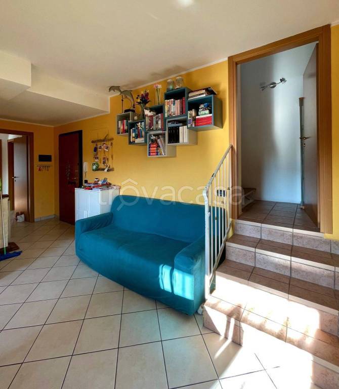 immagine annuncio 9 di 15