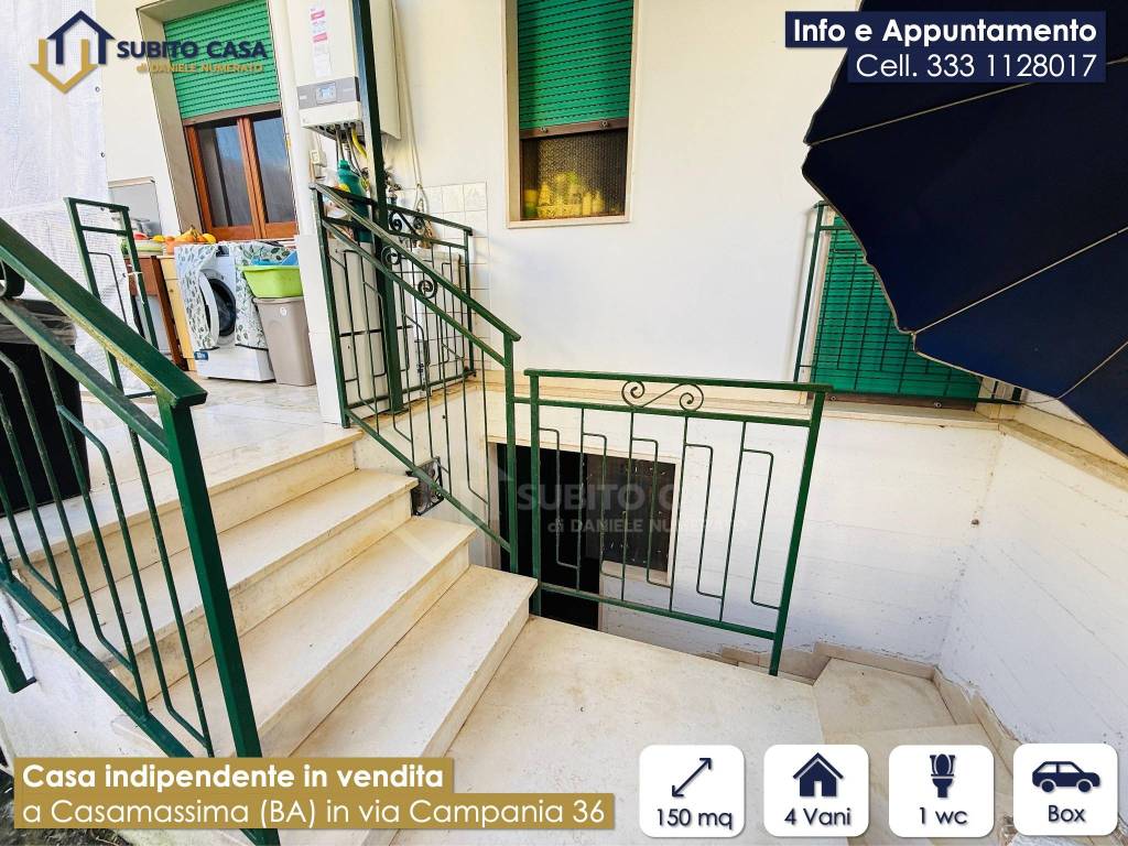 immagine annuncio 13 di 15