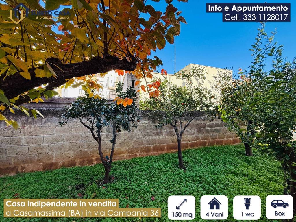 immagine annuncio 14 di 15