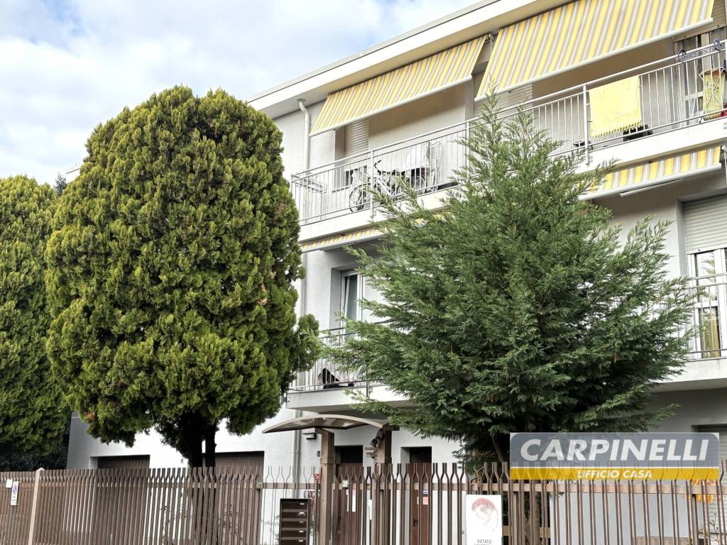 immagine annuncio 1 di 12