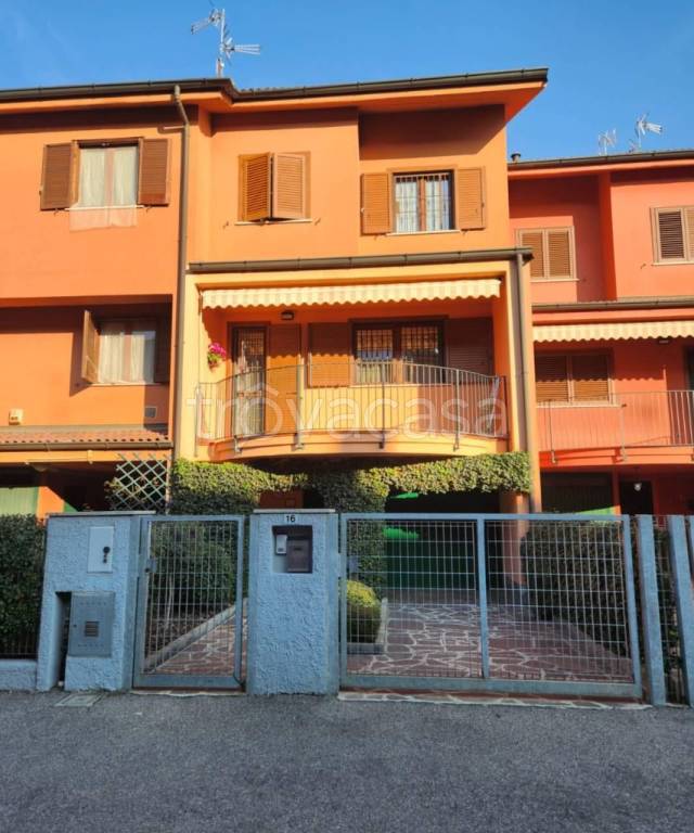 immagine annuncio 3 di 15