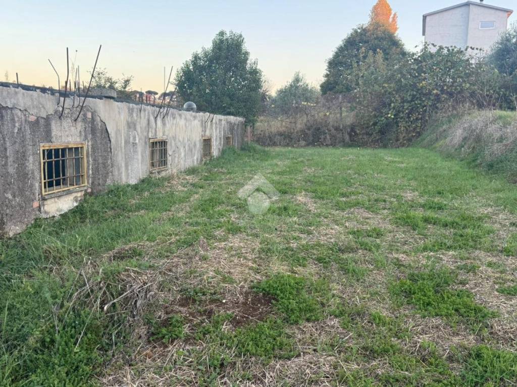 immagine annuncio 5 di 13