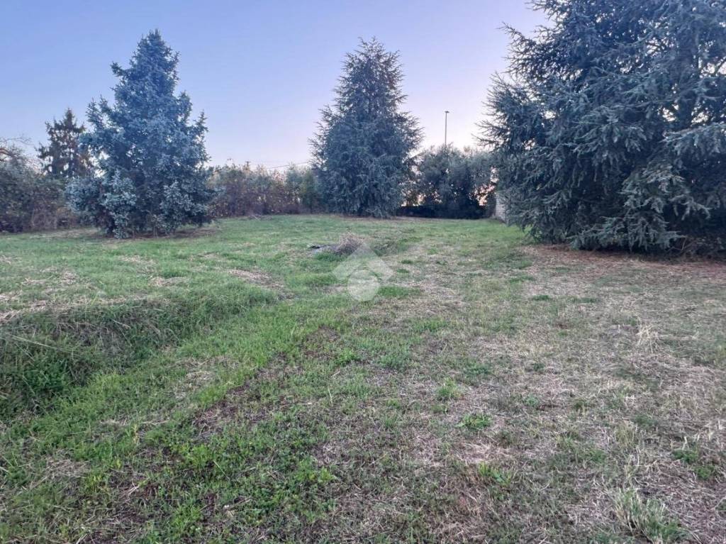 immagine annuncio 6 di 13