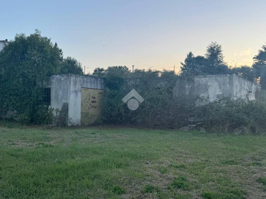 immagine annuncio 11 di 13