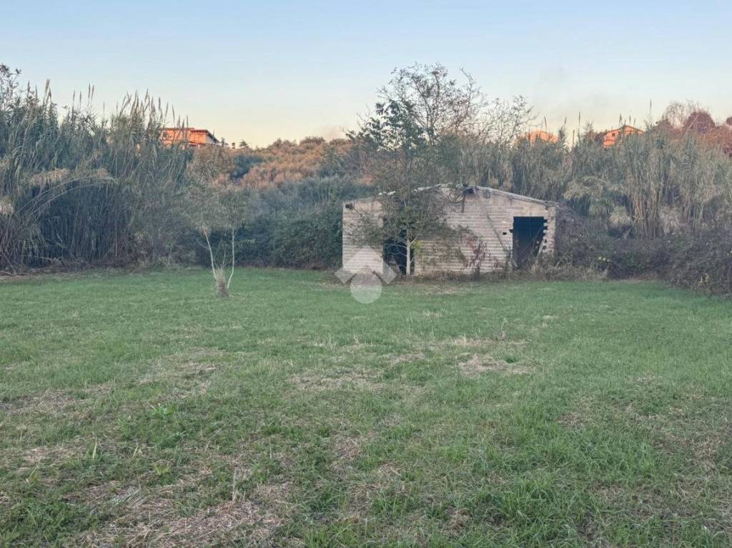 immagine annuncio 12 di 13