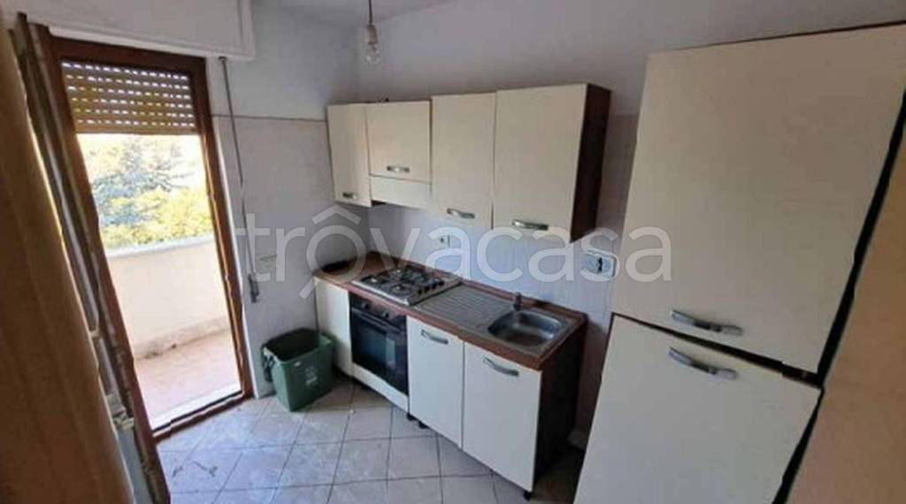 immagine annuncio 9 di 14