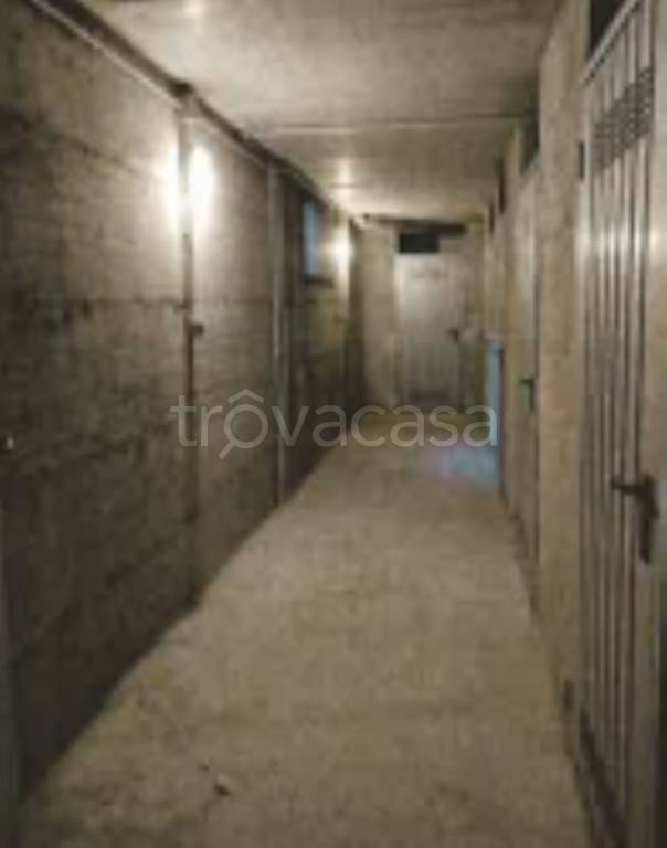 immagine annuncio 2 di 12