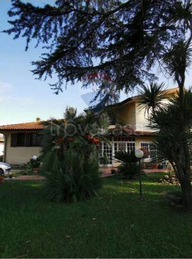 immagine annuncio 5 di 6