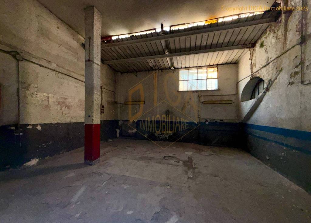 immagine annuncio 9 di 13