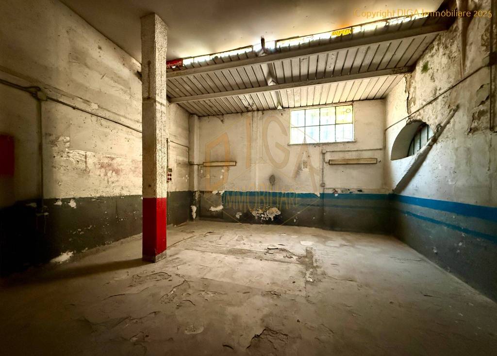 immagine annuncio 6 di 13