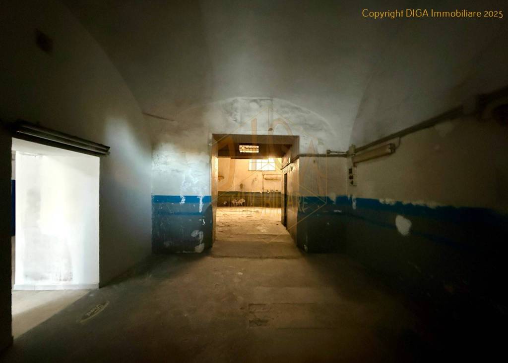 immagine annuncio 7 di 13