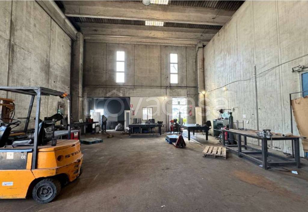 immagine annuncio 1 di 13