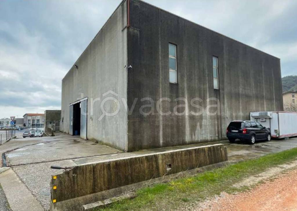 immagine annuncio 11 di 13