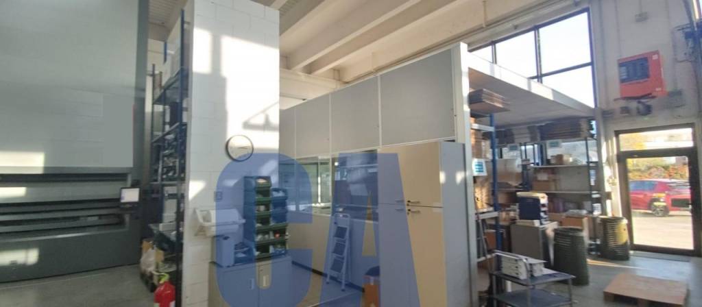 immagine annuncio 3 di 13